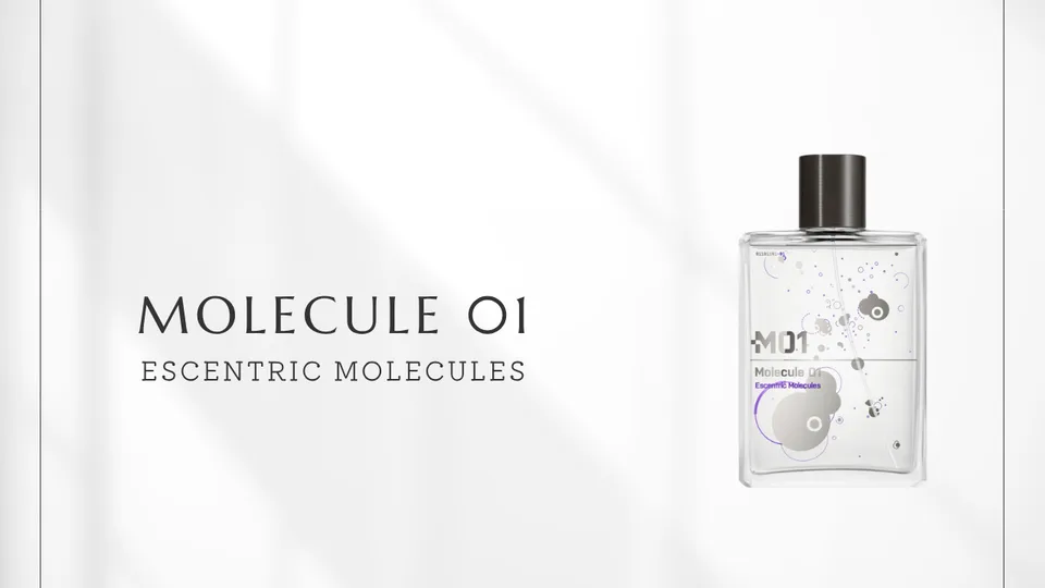 Escentric Molecules / Molecule 01