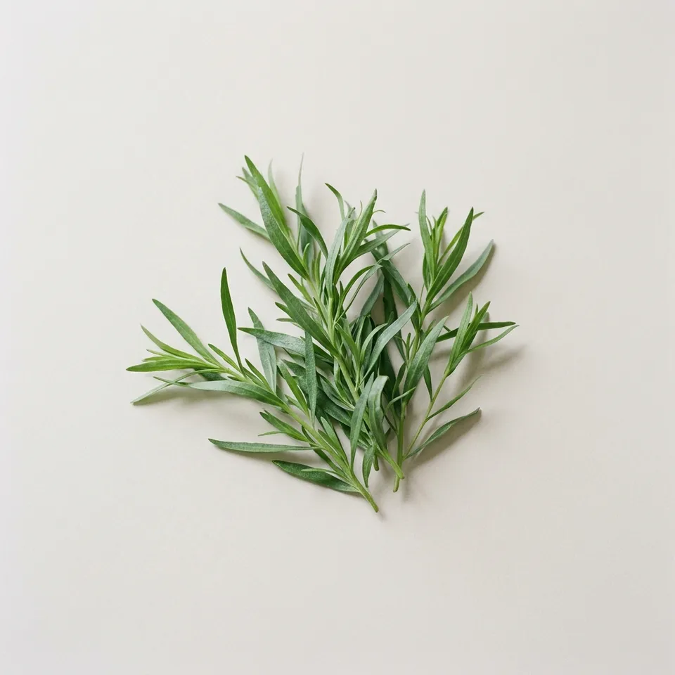 Tarragon