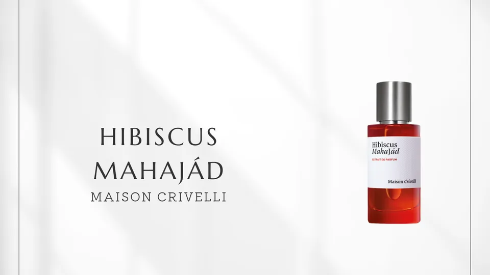 Maison Crivelli / Hibiscus Mahajád