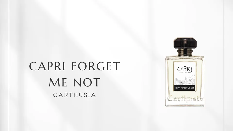 Carthusia / Capri Forget Me Not