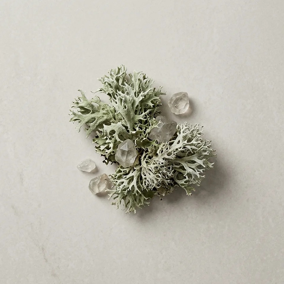 Crystal Moss