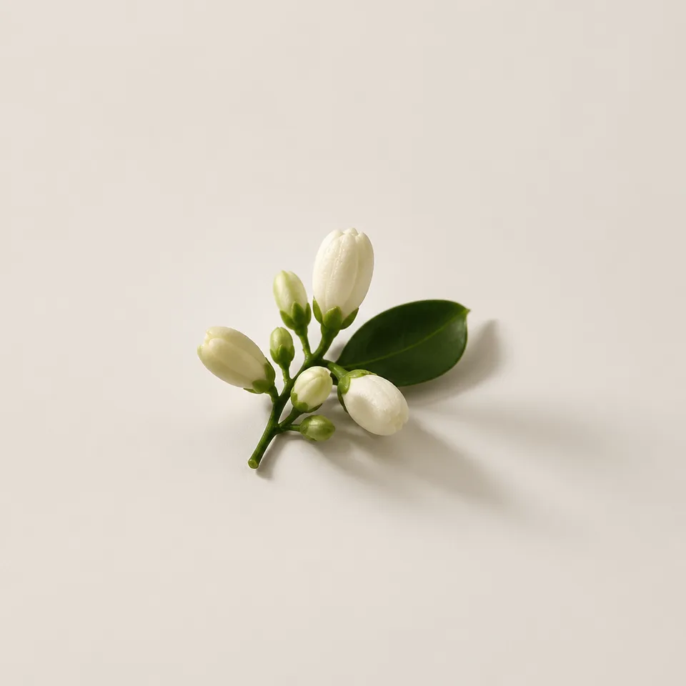 Neroli Bud