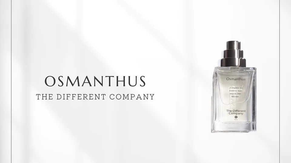 The Different Company / Osmanthus