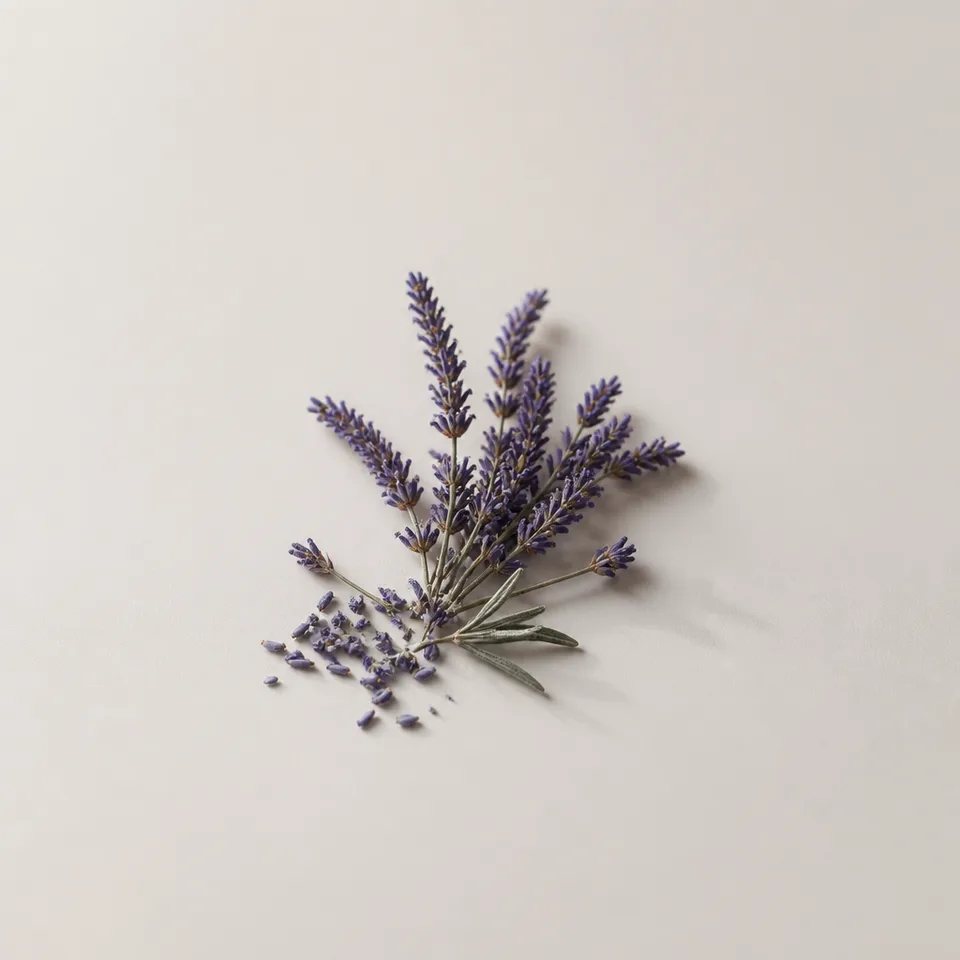 Lavender Flower Accord