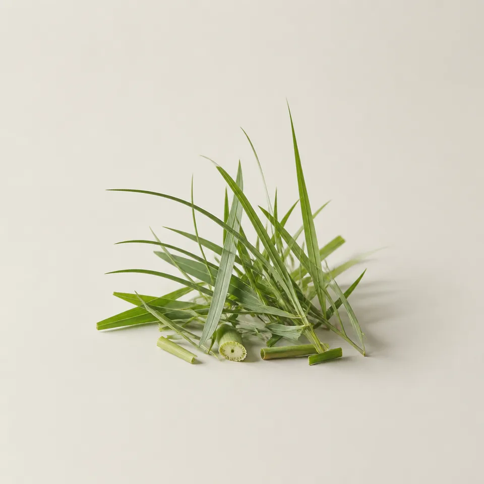 Fresh Grass