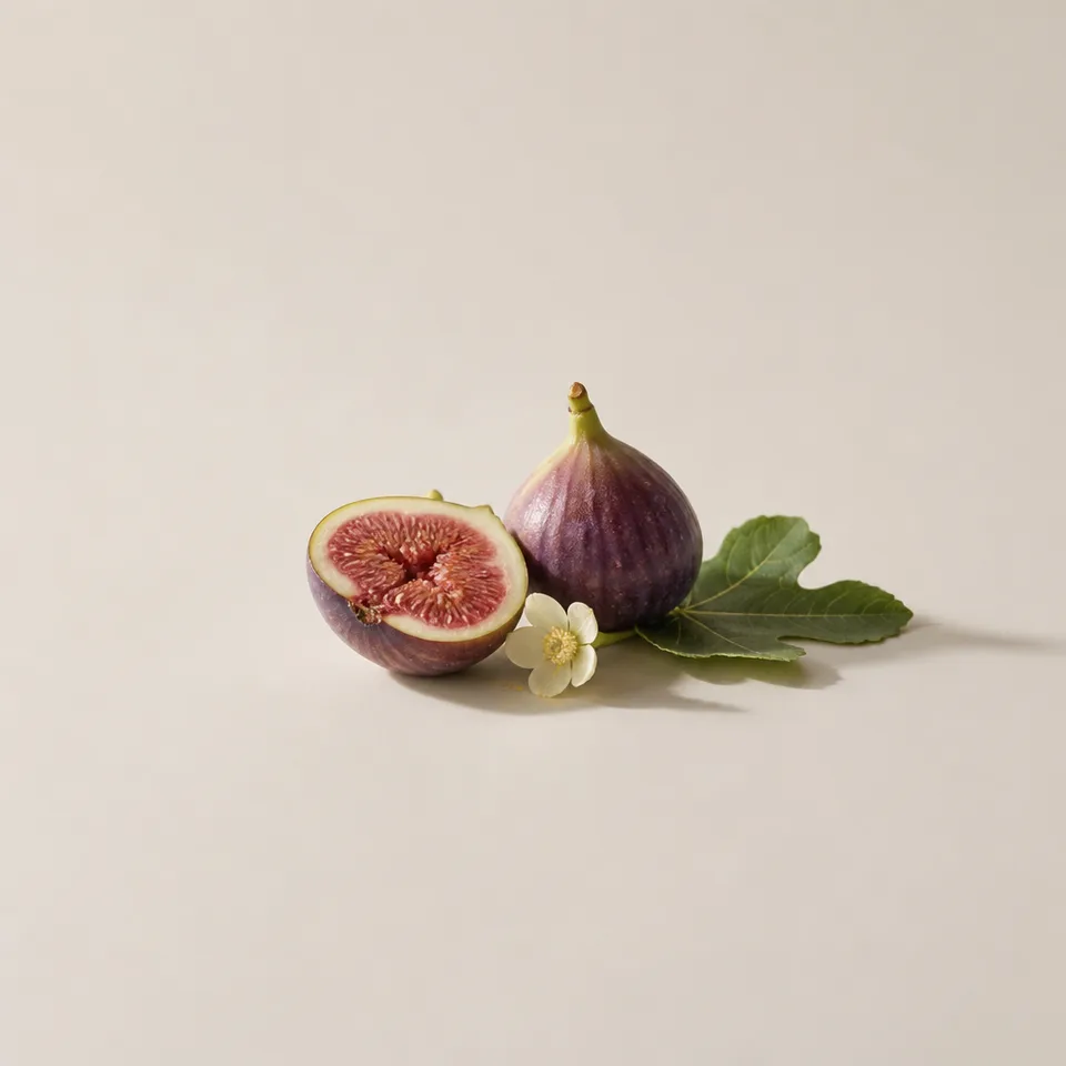 Fig Nectar