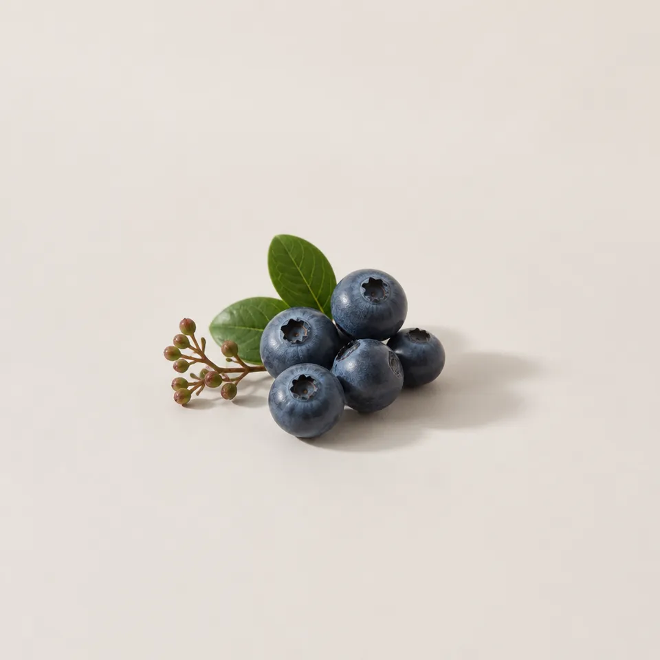 Blueberry