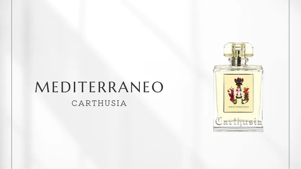 Carthusia / Mediterraneo