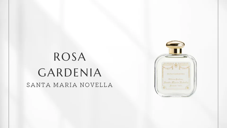 Santa Maria Novella / Rosa Gardenia