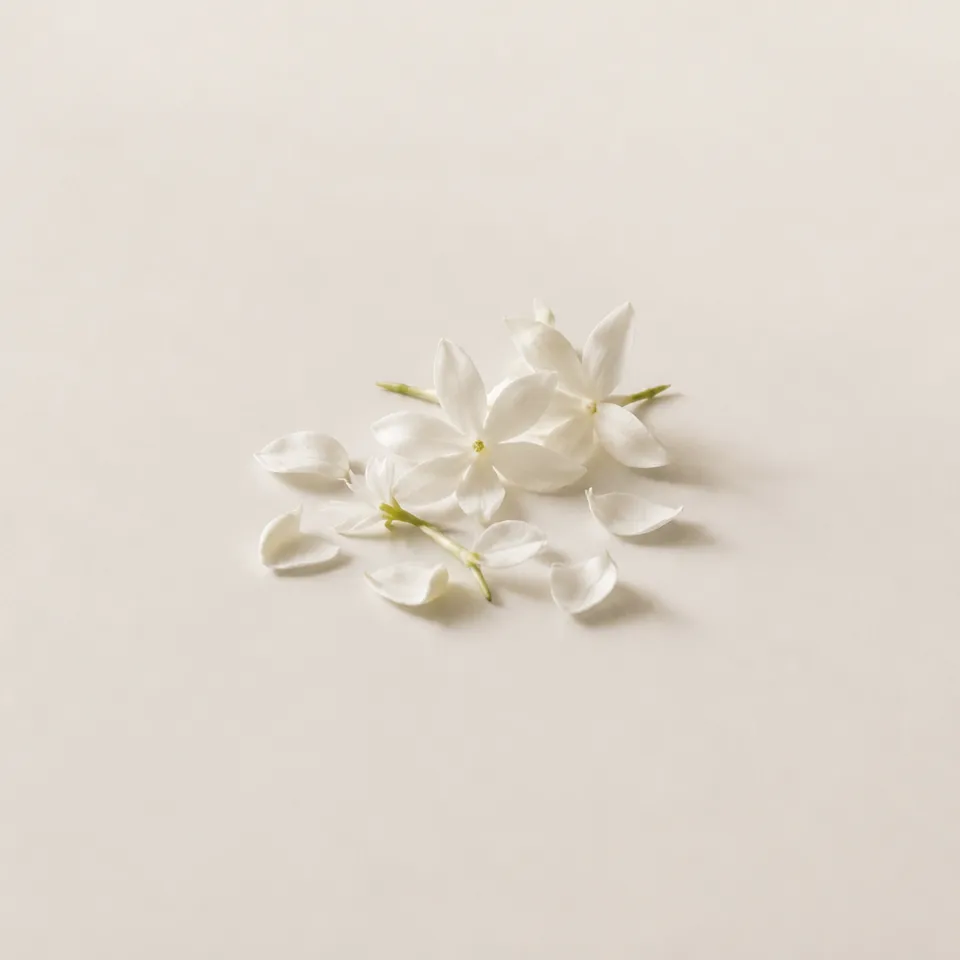 Jasmine Petals