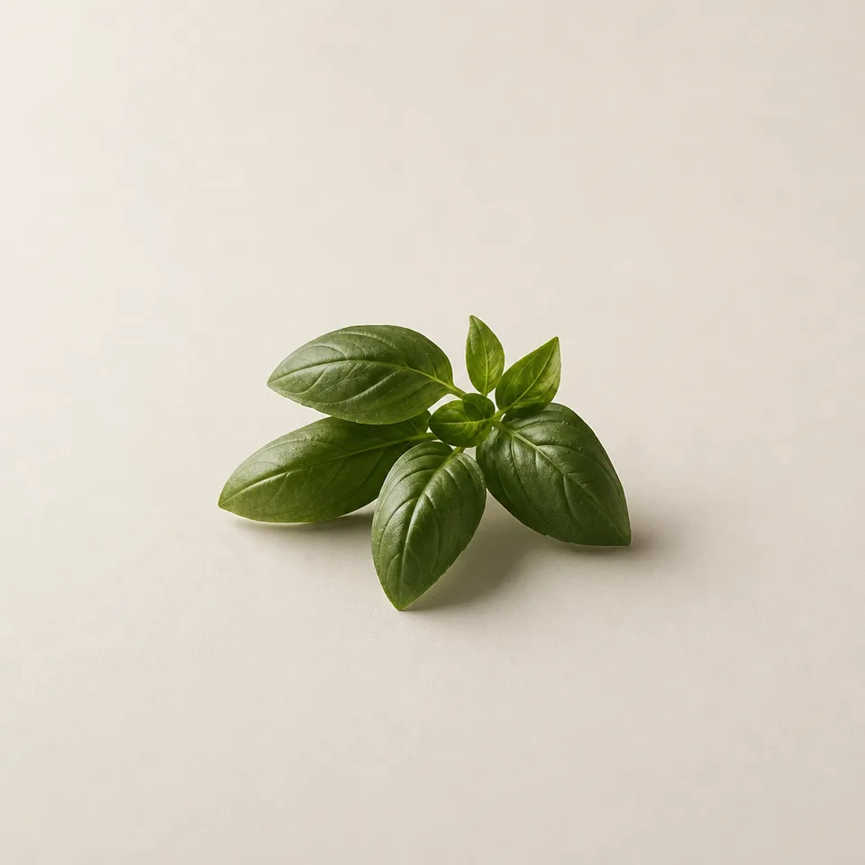Basil Grand Vert
