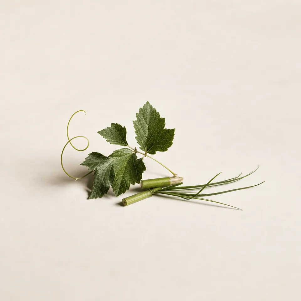 Vegetal