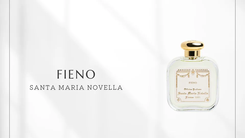 Santa Maria Novella / Fieno
