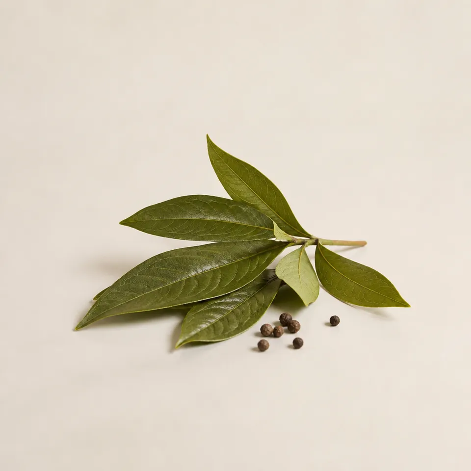 Cinnamon Leaves Essence