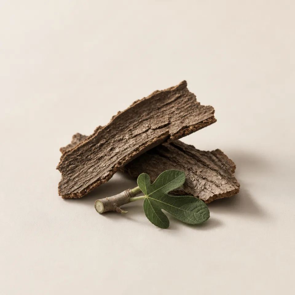 Fig Wood Bark