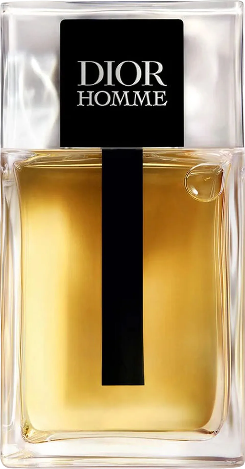 ディオール ディオール オム オードゥ トワレ 100mL ボトル