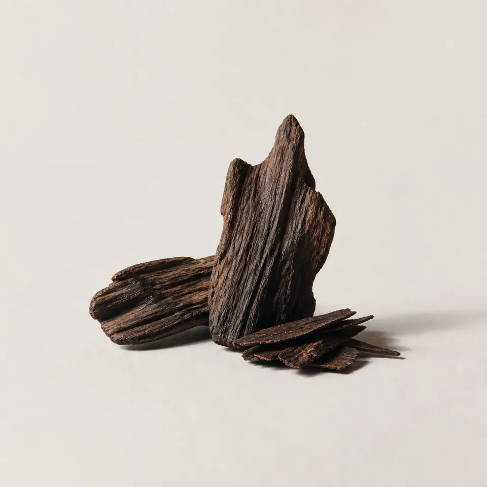 Dark Wood Accord