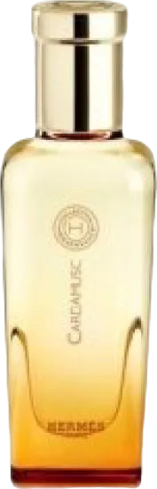 エルメス カルダムスク 100mL ボトル