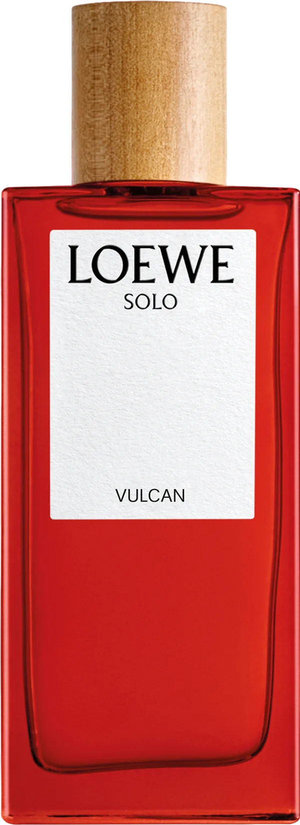 Loewe ロエベ ソロ ヴァルカン オー ド パルファム 100mL ボトル