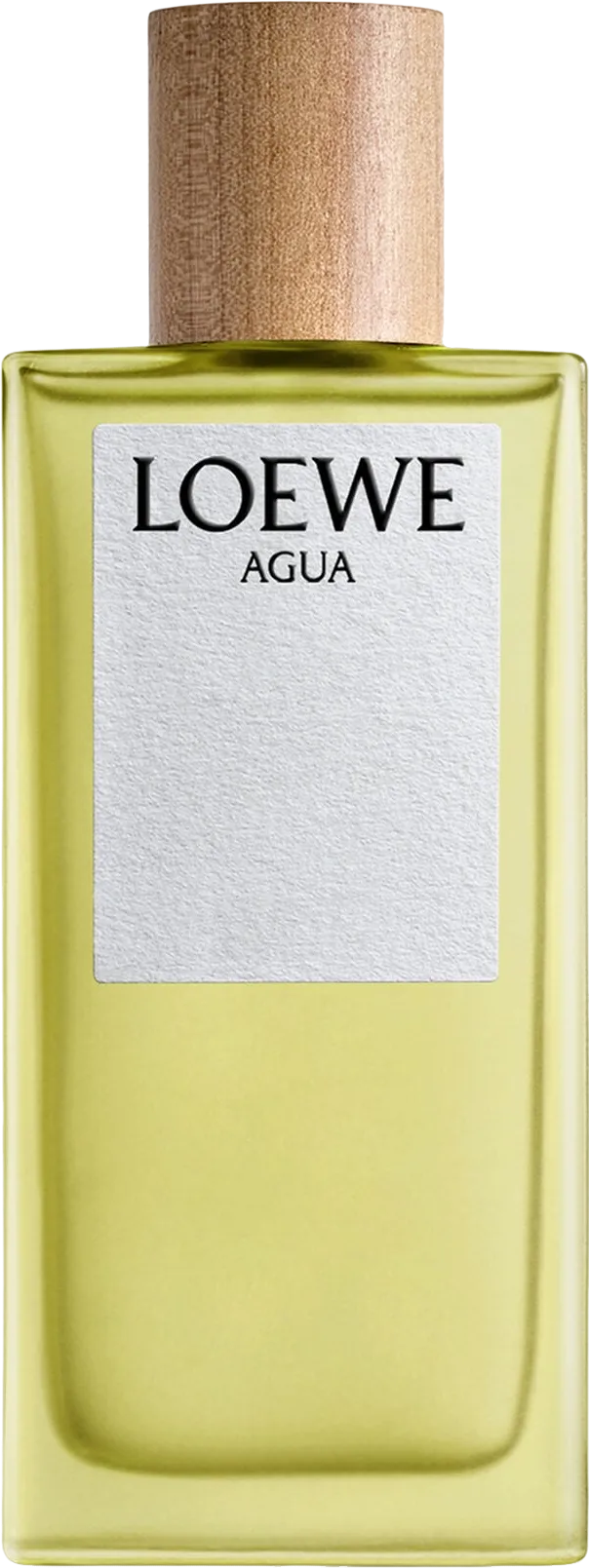 Loewe ロエベ アグア オードトワレ 100mL ボトル