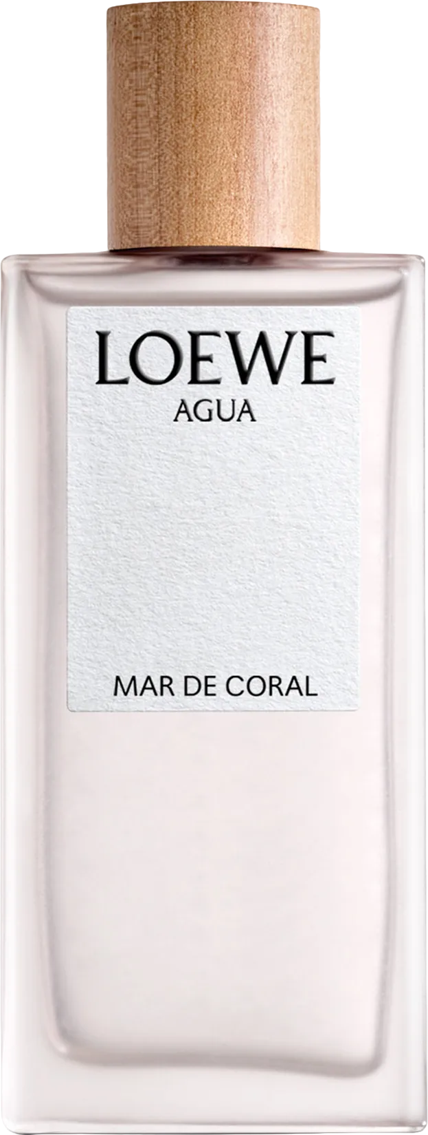 Loewe ロエベ アグア マル デ コーラル オードトワレ 100mL ボトル