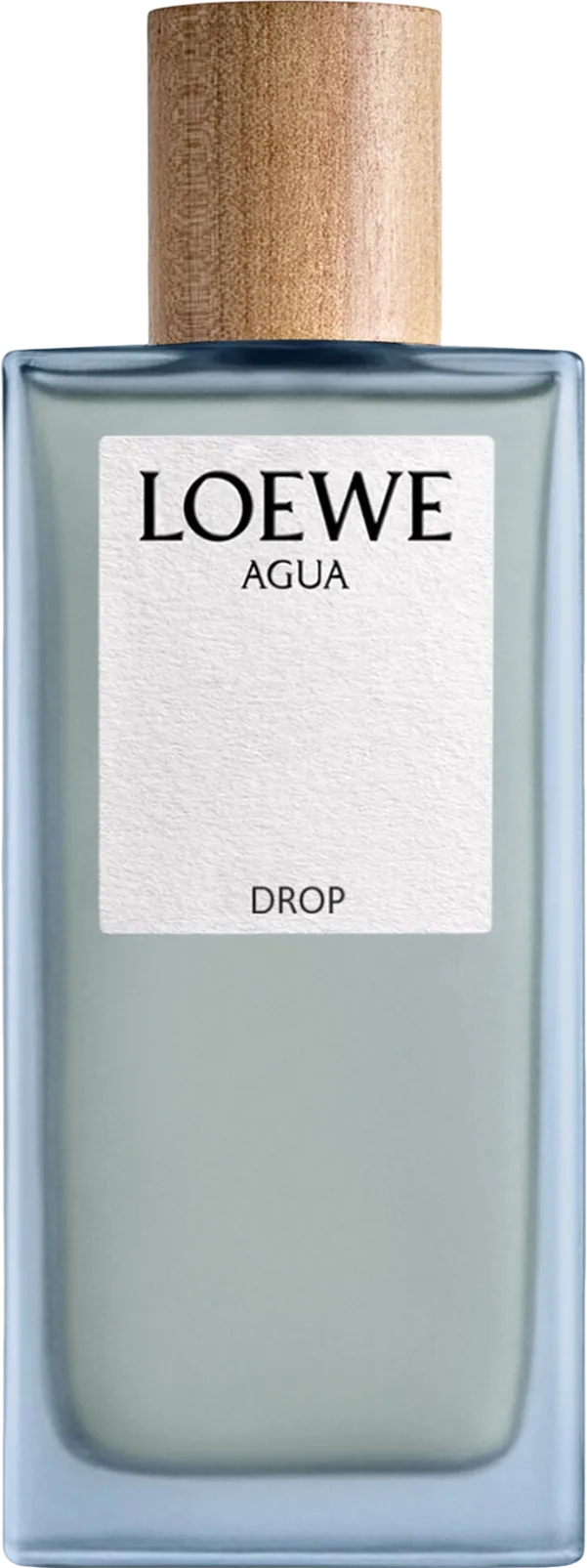 Loewe ロエベ アグア ドロップ オー ド パルファム 100mL ボトル