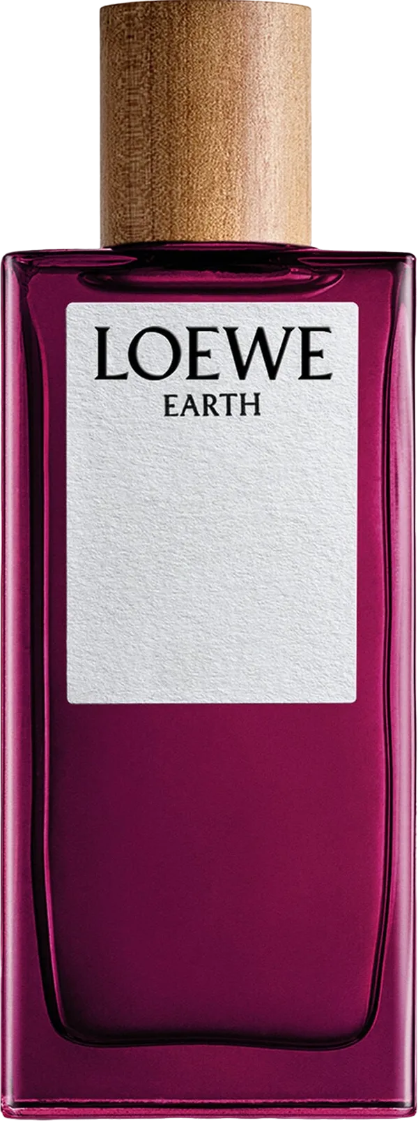 Loewe ロエベ アース オー ド パルファム 100mL ボトル