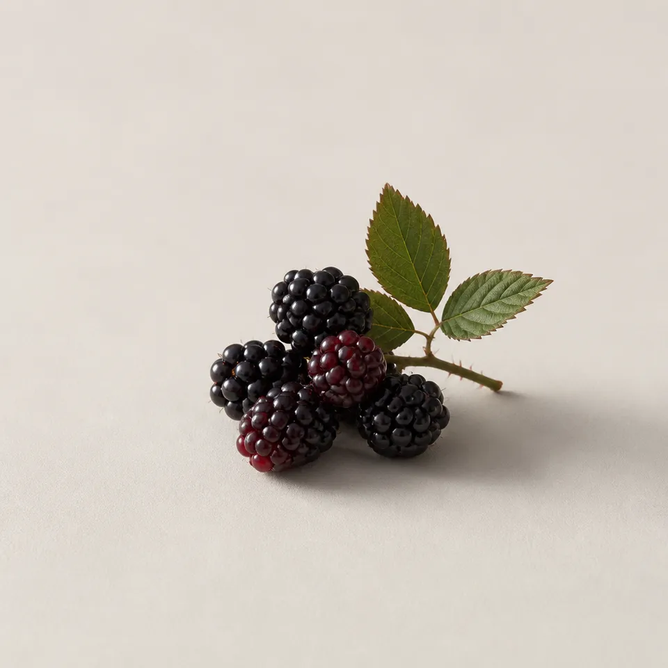 Dewberry