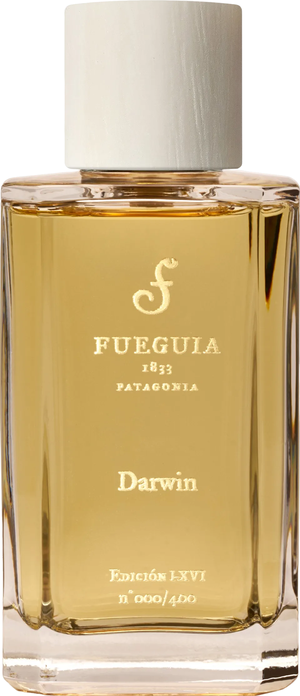 Fueguia 1833 ダーウィン 100mL ボトル
