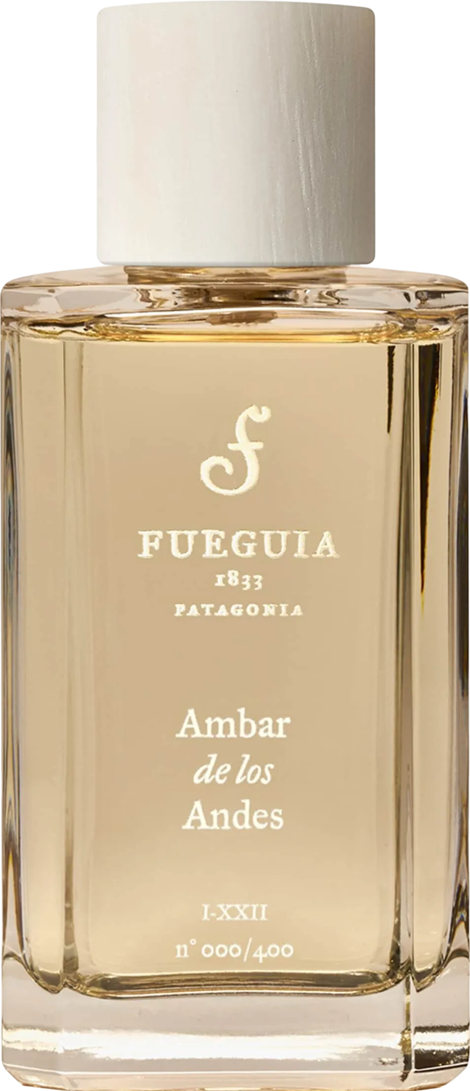 Fueguia 1833 アンバル デ ロス アンデス 100mL ボトル