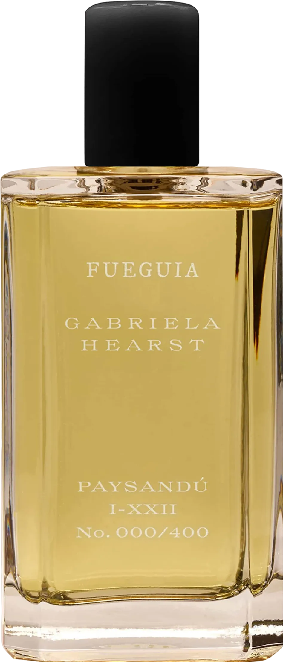 Fueguia 1833 パイサンドゥ 100mL ボトル