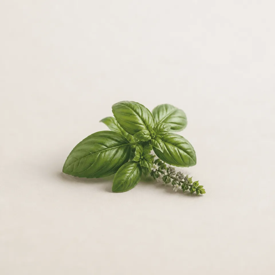 Blue Basil