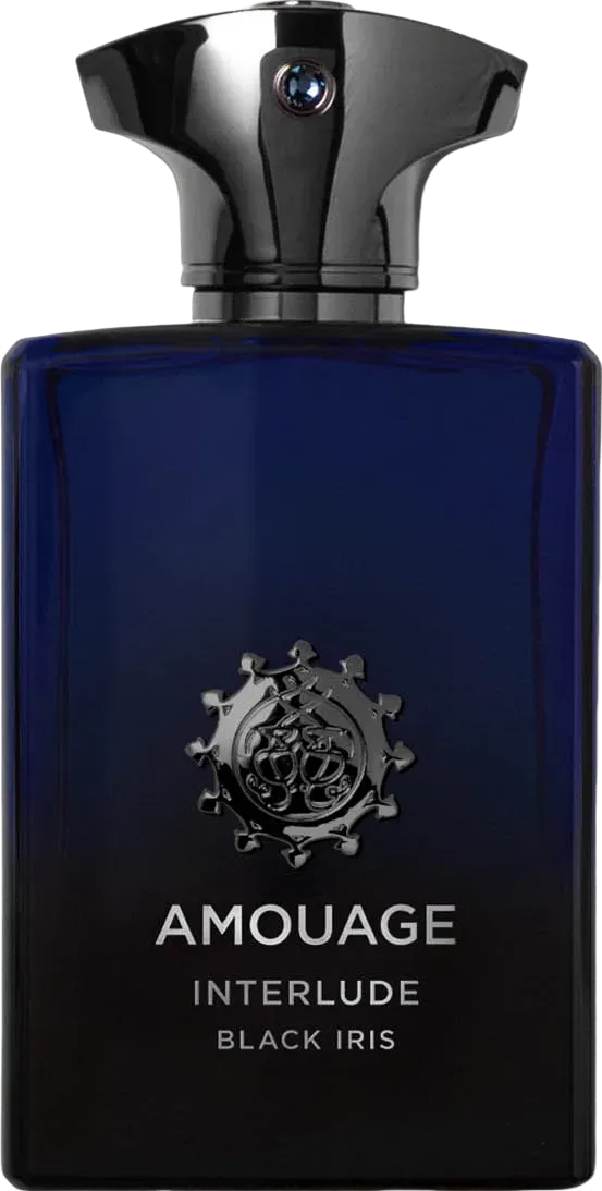 アムアージュ インタールード ブラック アイリス マン 100mL ボトル
