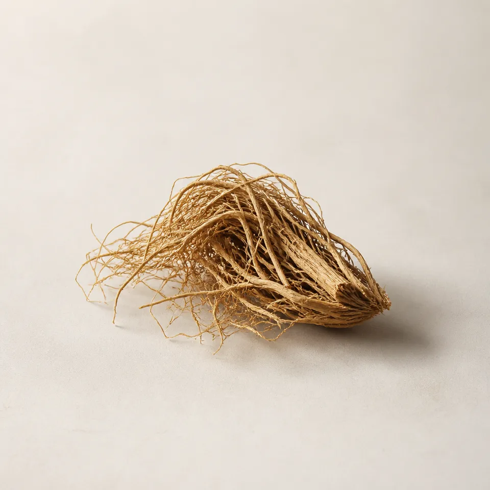 Vetiver roots