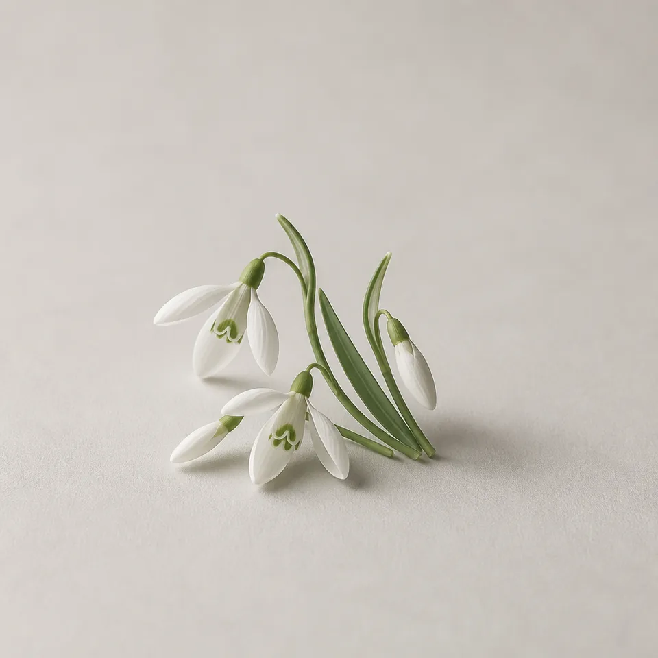 Snowdrop