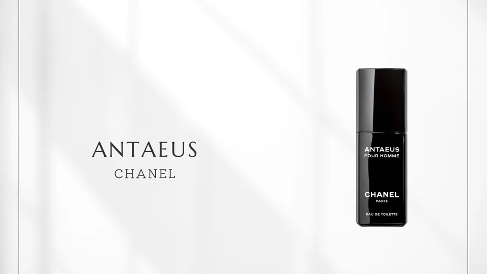 CHANEL / ANTAEUS