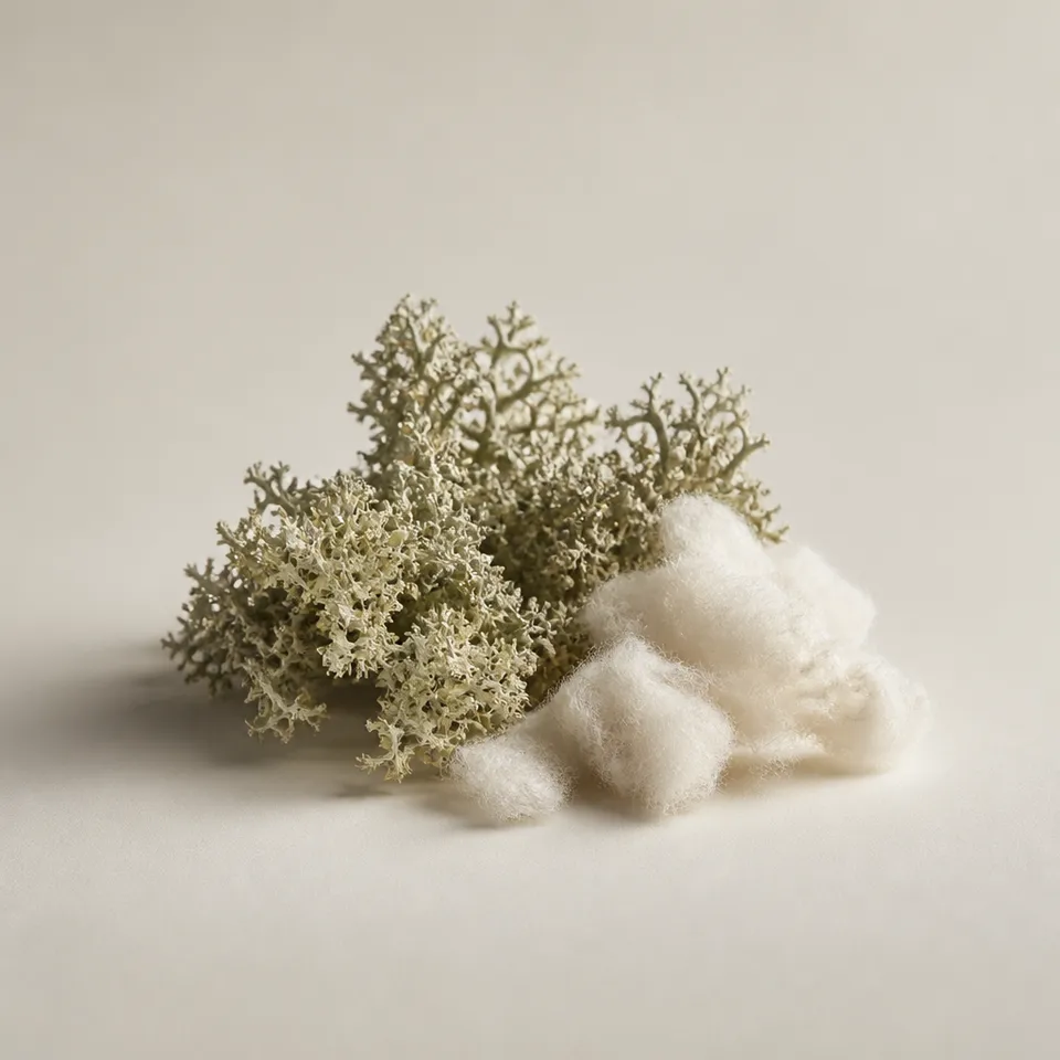 Oakmoss and Musk