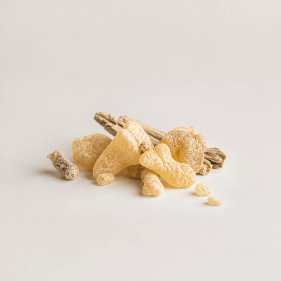 Oman Frankincense