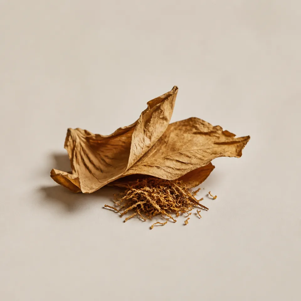 Blond Tobacco