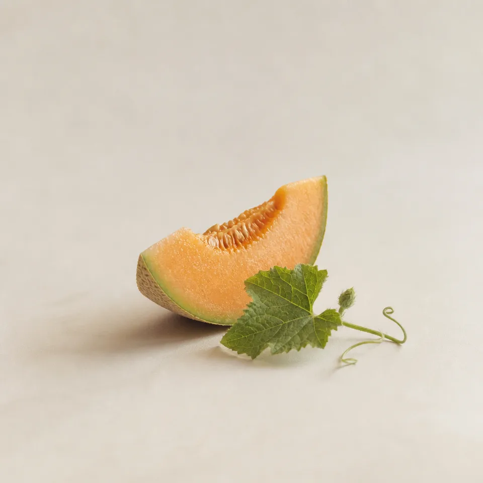 Sicilian Melon