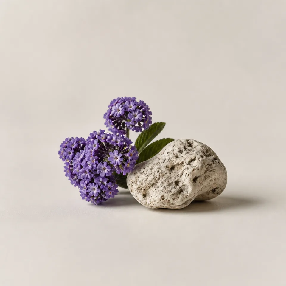 Heliotrope & Ambergris