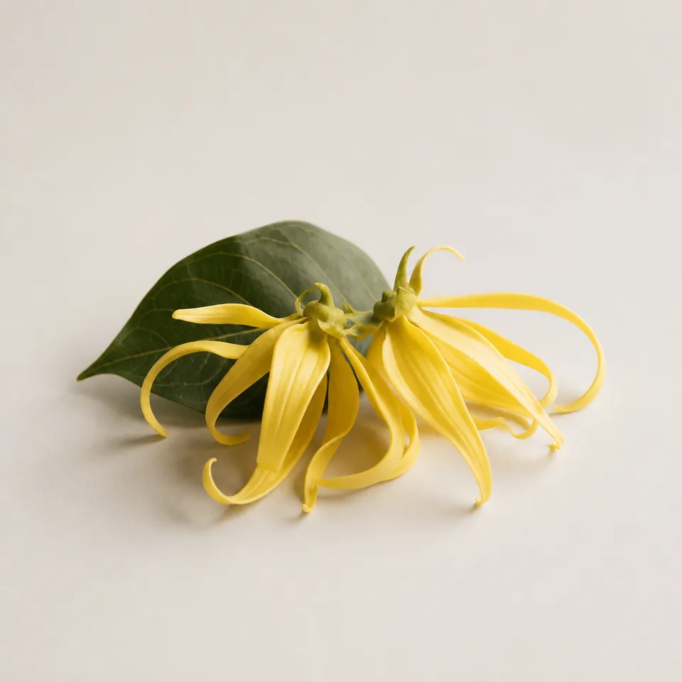 Yylang ylang
