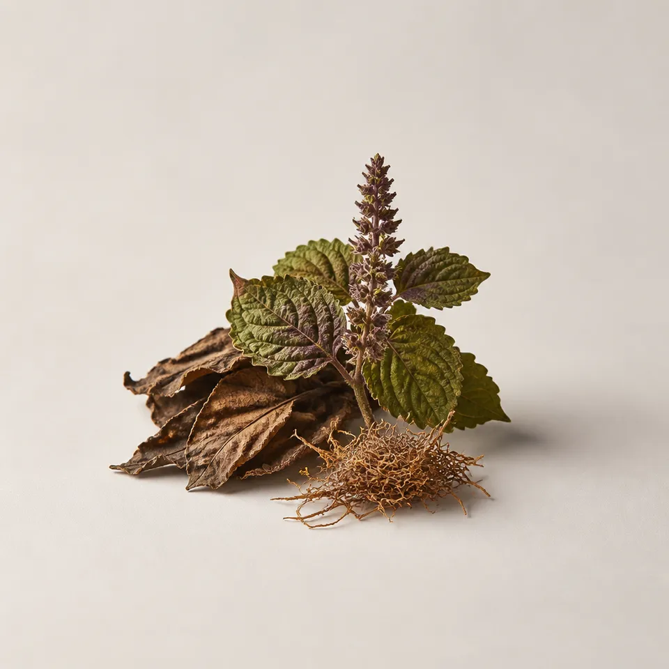 Spicy tones of Patchouli