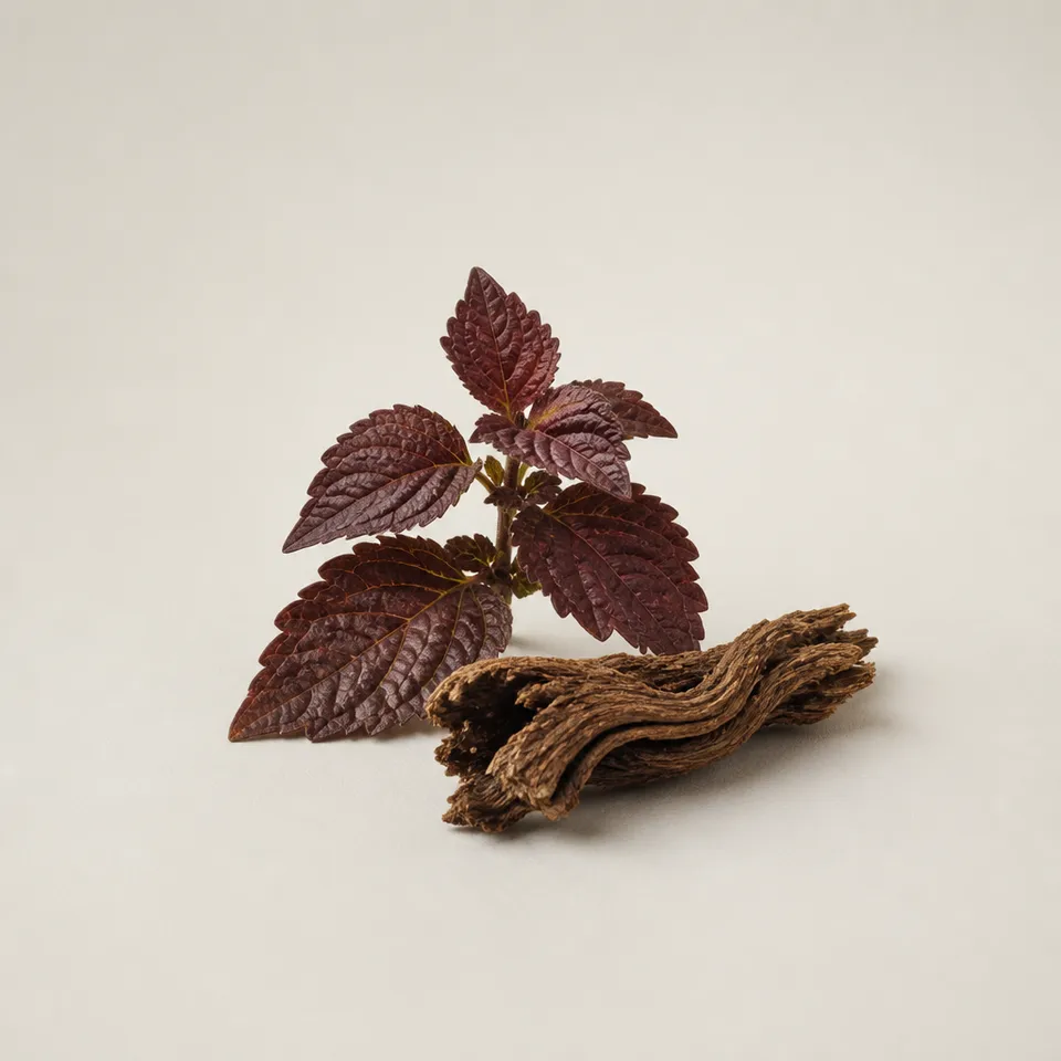 Red Indian Patchouli