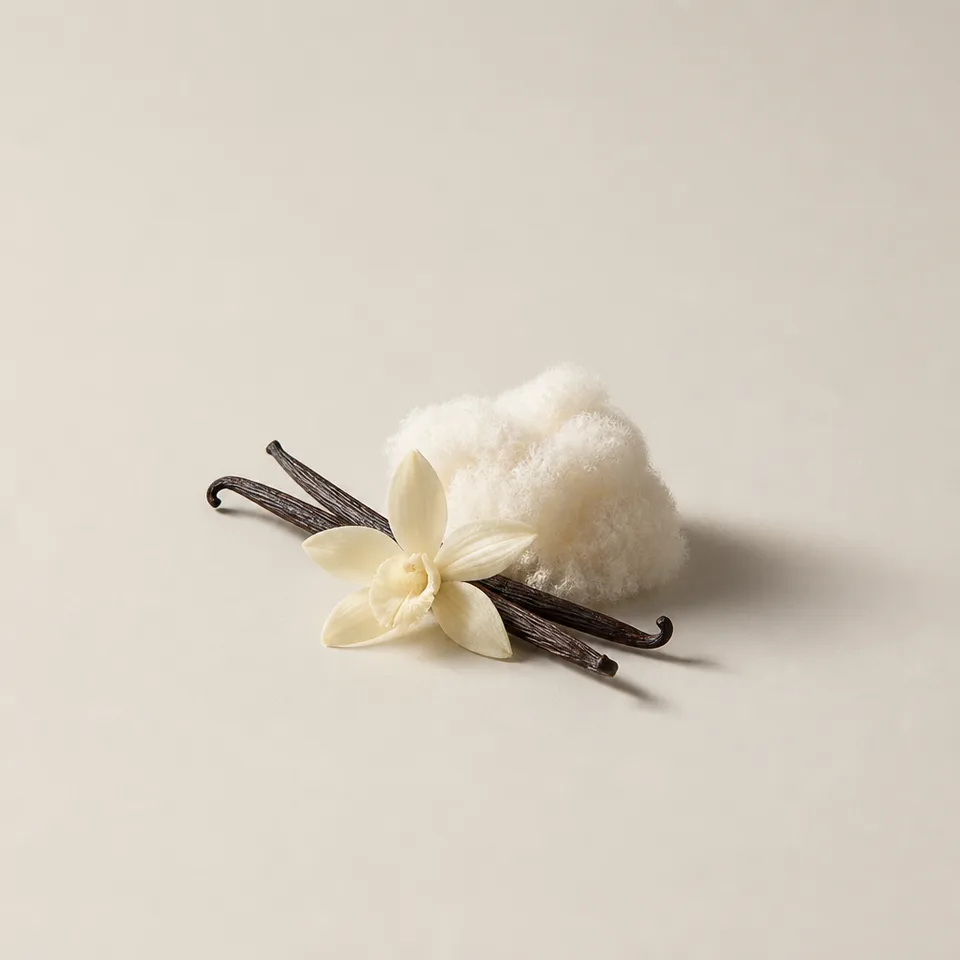 Musk & Vanilla