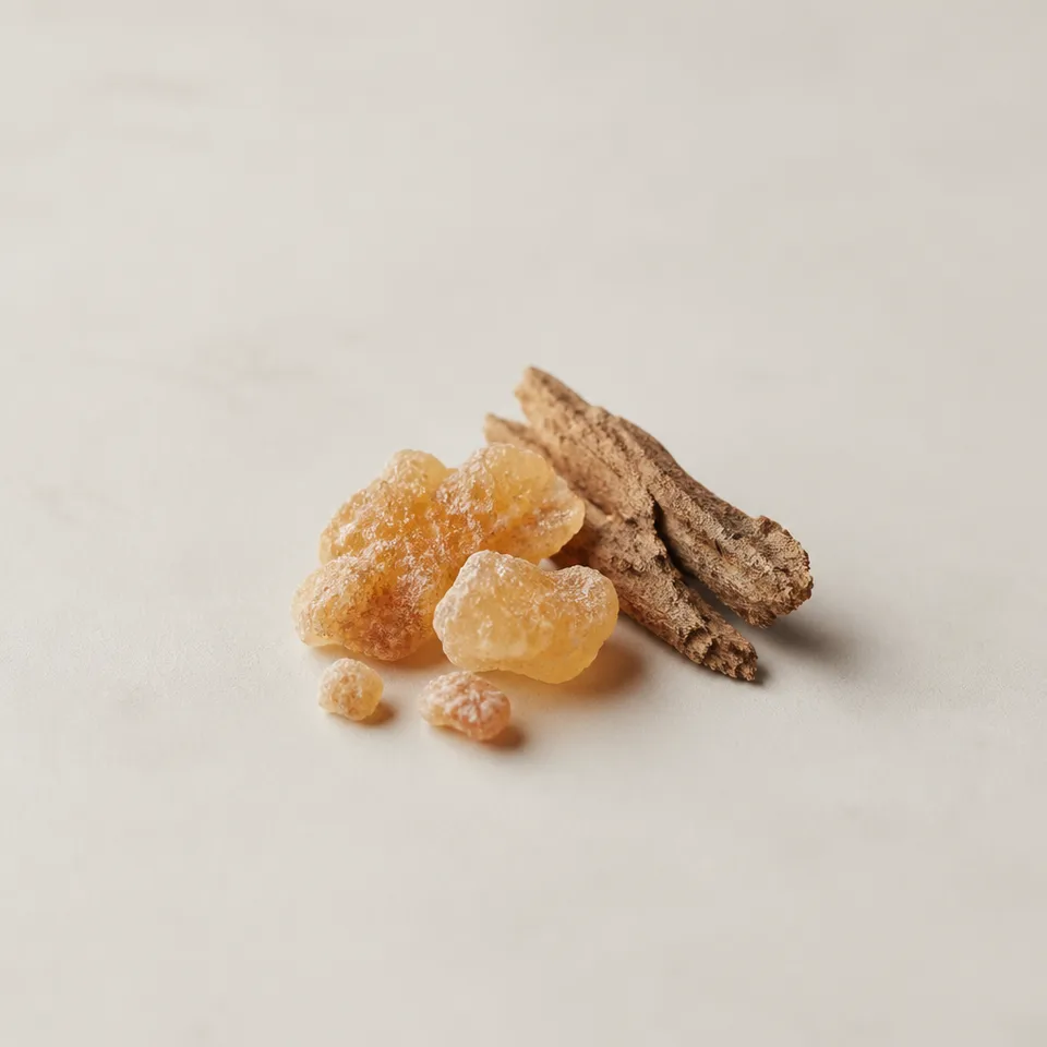 Styrax Benzoin