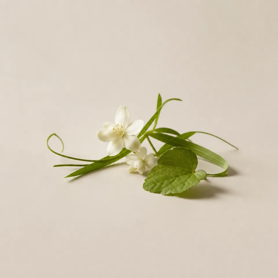 Floral Notes Green Notes