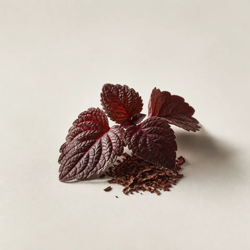 Red Patchouly