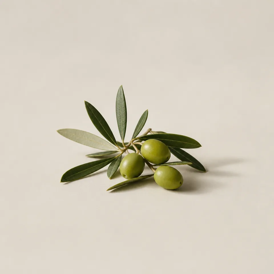Olive