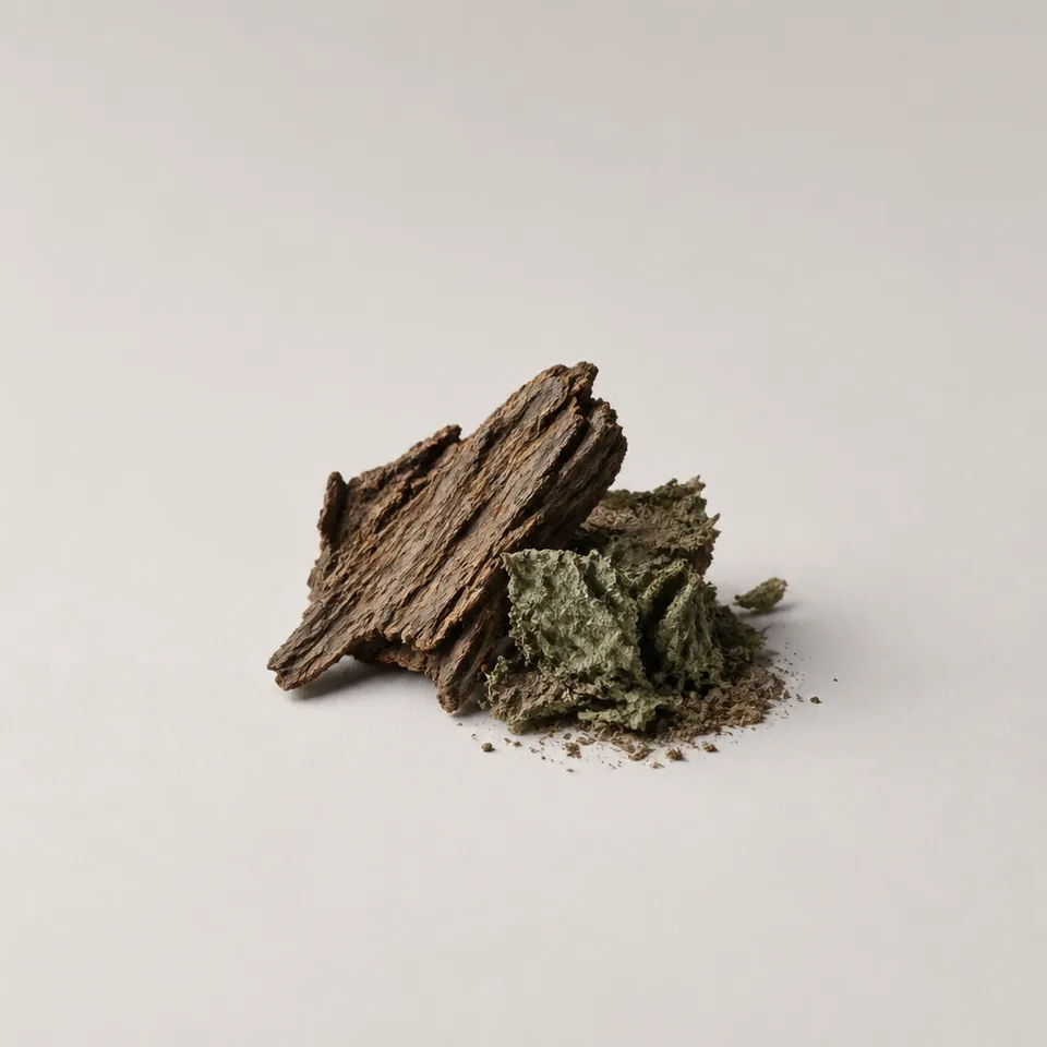 Patchouli Cyclescent